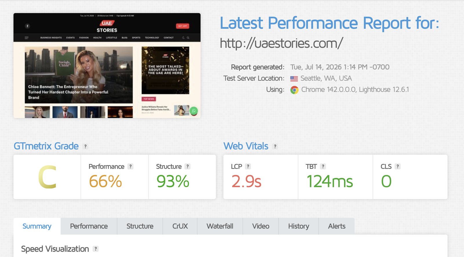 GTmetrix performance report: Grade C, 66% performance, LCP 2.9s